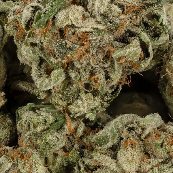 Lucky Farms - AK-47 (Smalls) - Image 2