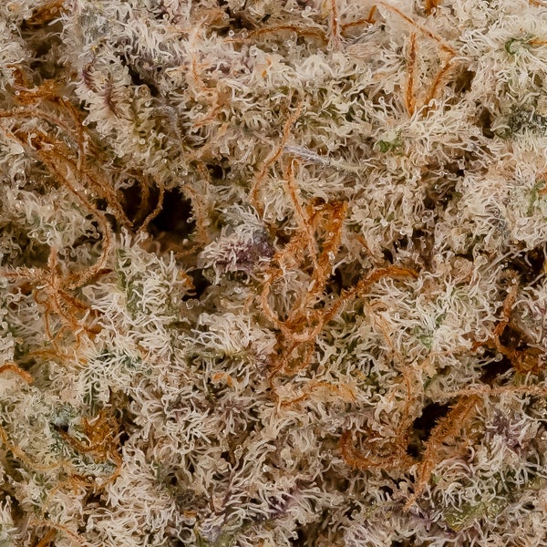 Superdank - Alien Cookies - Image 6