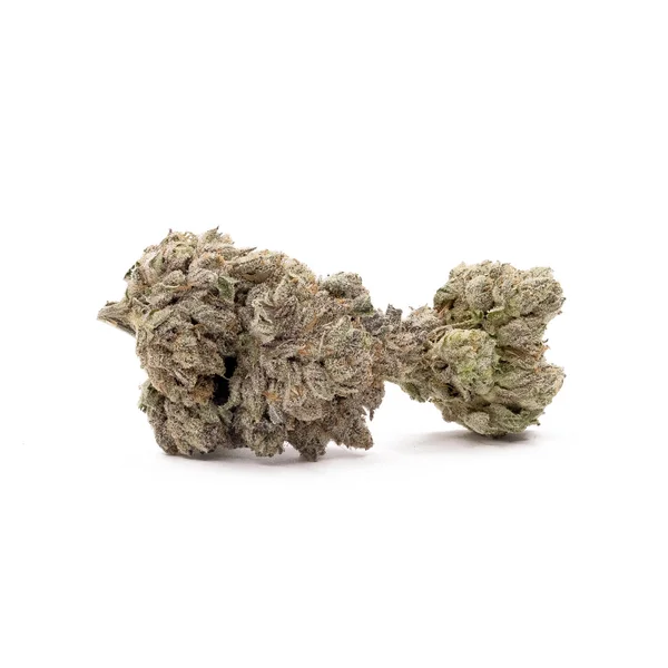 Hoot Cannabis - Alien Dawg - Image 4