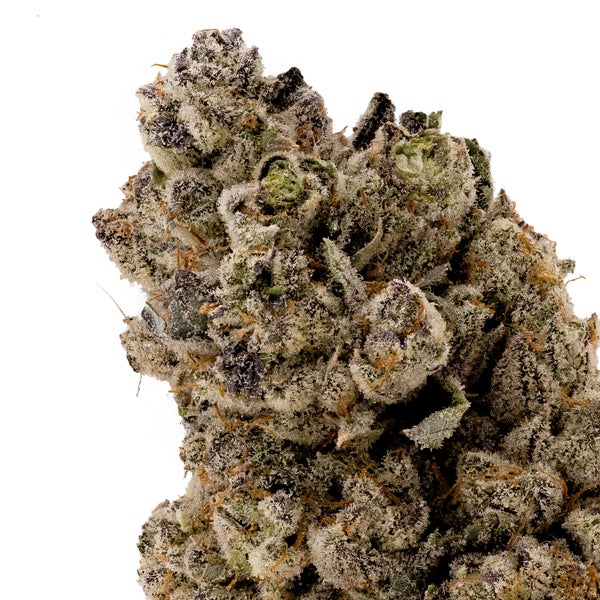 Hoot Cannabis - Alien Dawg - Image 5