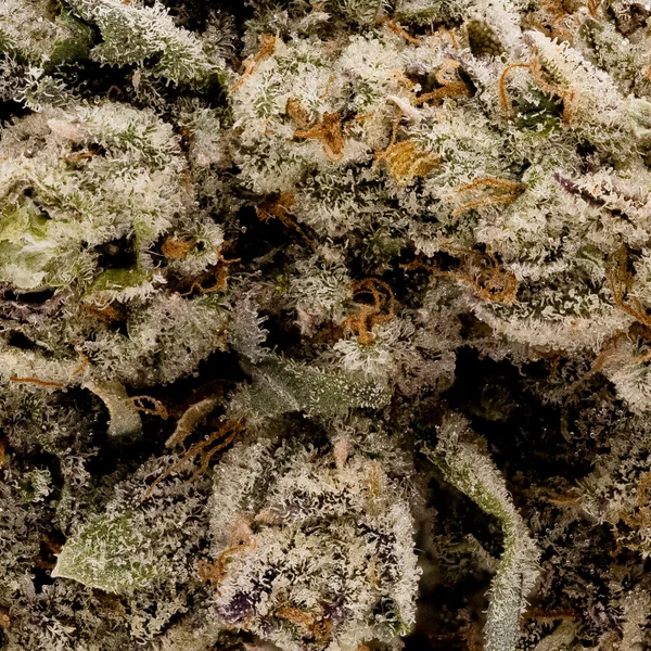 Hoot Cannabis - Alien Dawg - Image 7