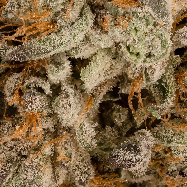 Lucky Farms - Animal Cookies (Smalls) - Image 2