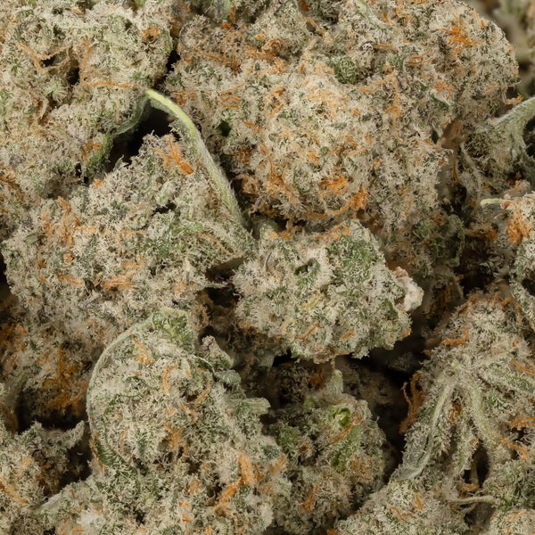 Dollar Treez - Cookies and Cream (smalls) - Image 2