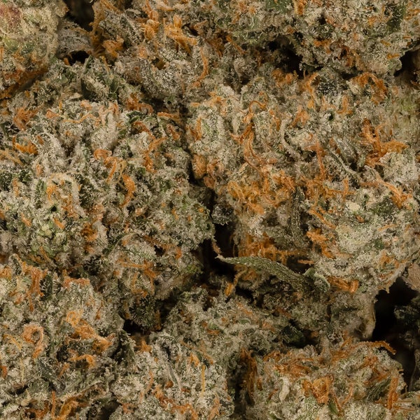 Lucky Farms - Critical Kush (Smalls) - Image 2