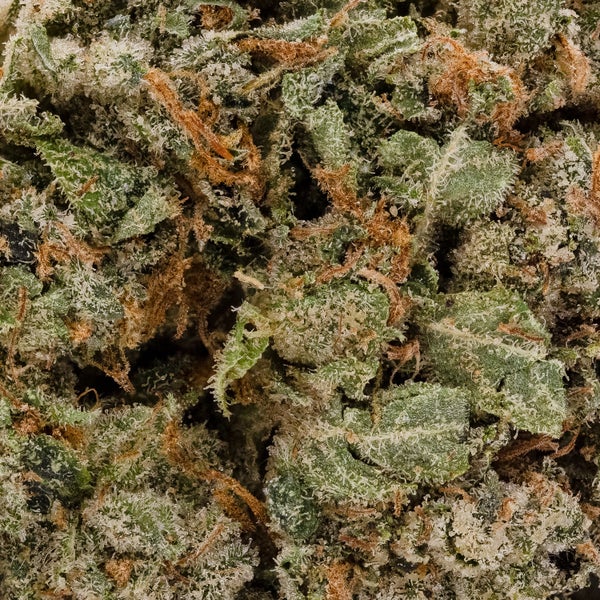 Jungle Ridge - Death Star OG - Image 6