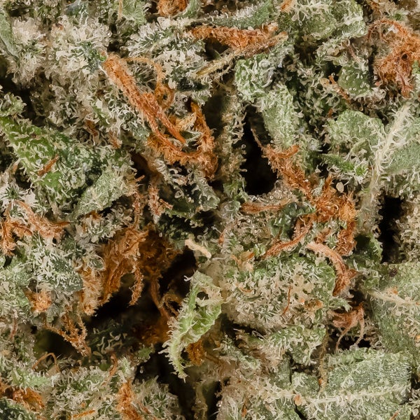 Jungle Ridge - Death Star OG - Image 5