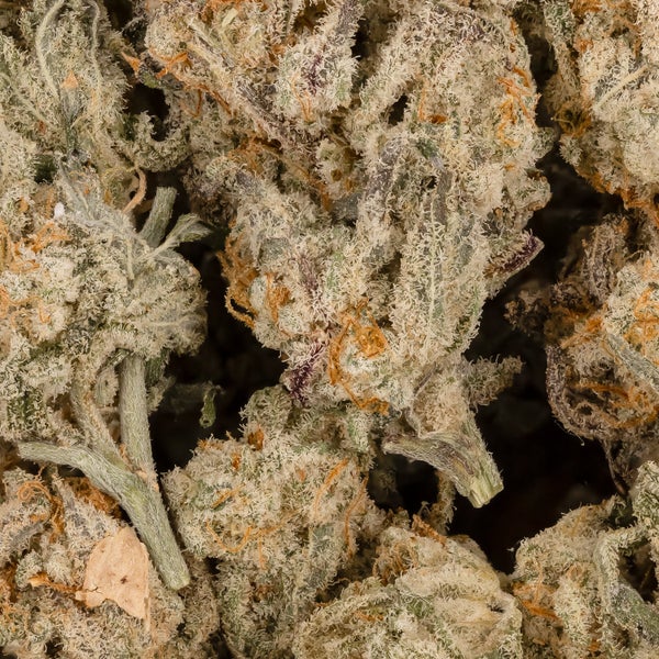 Lucky Farms - Donkey Butter (Smalls) - Image 2