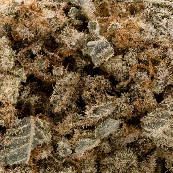 Lucky Farms - G-Mac - Image 6