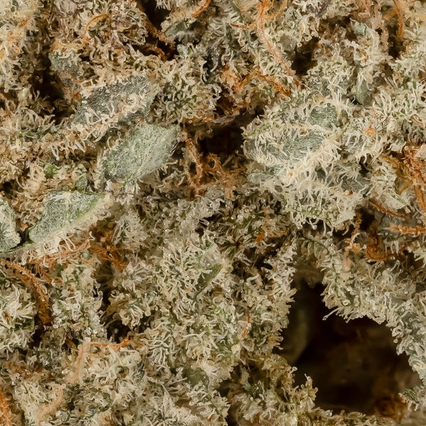 Lucky Farms - G-Mac - Image 5