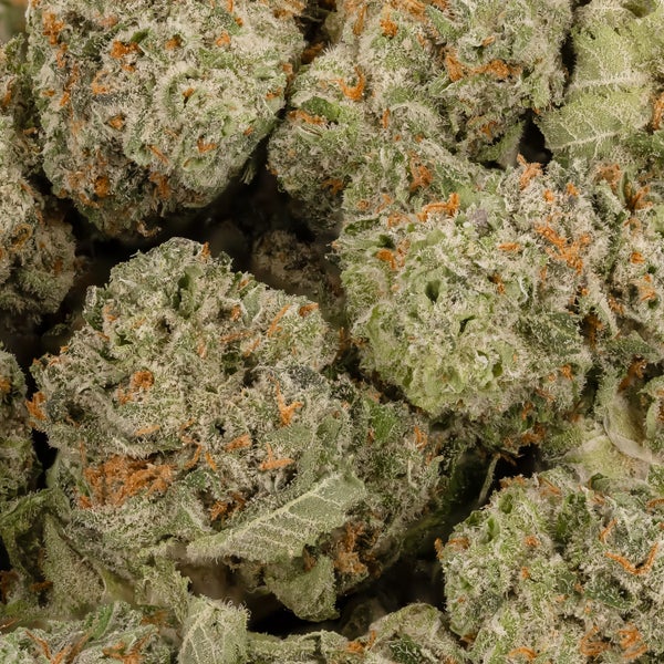 Lucky Farms - Long Island Pink (Smalls) - Image 2