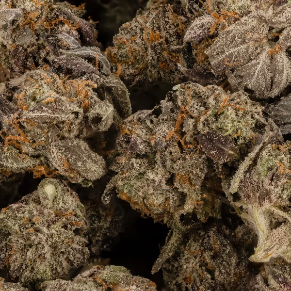 Lucky Farms - Master Kush (Smalls) - Image 2