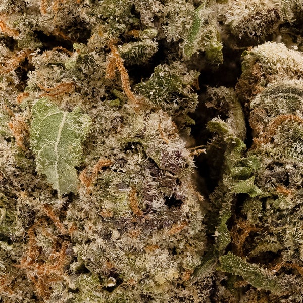 Lucky Farms - Pink - Image 6