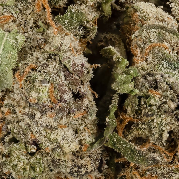 Lucky Farms - Pink - Image 5