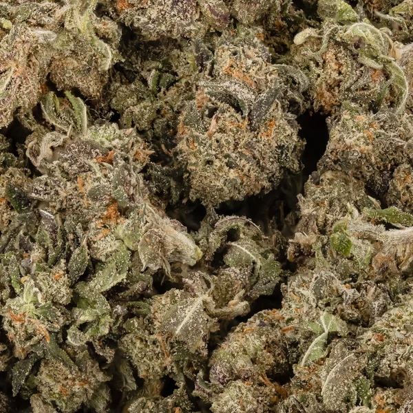 Dollar Treez - Runtz (Smalls) - Image 2