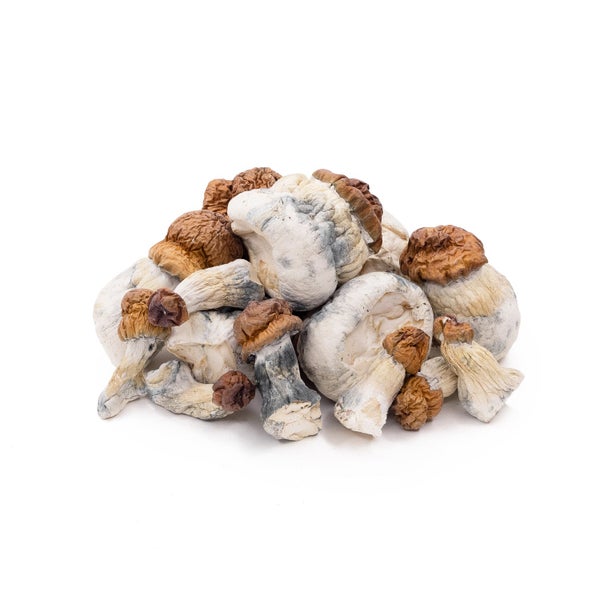 Amazeballs - Texas Yellow Cap - Image 3