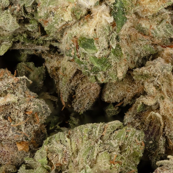 Dollar Treez - Tom Ford Pink Kush (Smalls) - Image 2