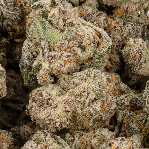 Lucky Farms - White Wedding (Smalls) - Image 2