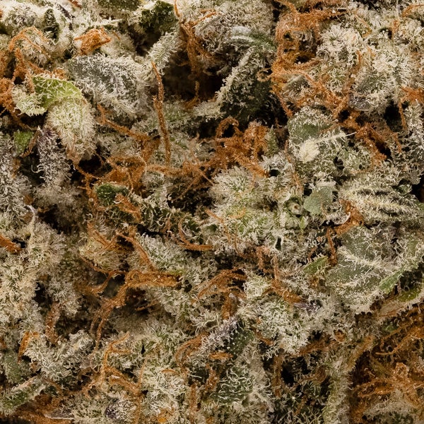 Lucky Farms - Cherry Garcia - Image 6