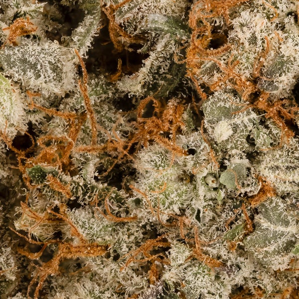 Lucky Farms - Cherry Garcia - Image 5