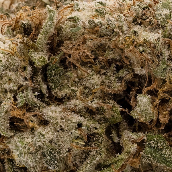 Lucky Farms - Death Berry - Image 6
