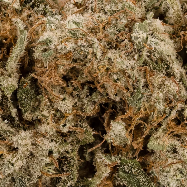 Lucky Farms - Death Berry - Image 5