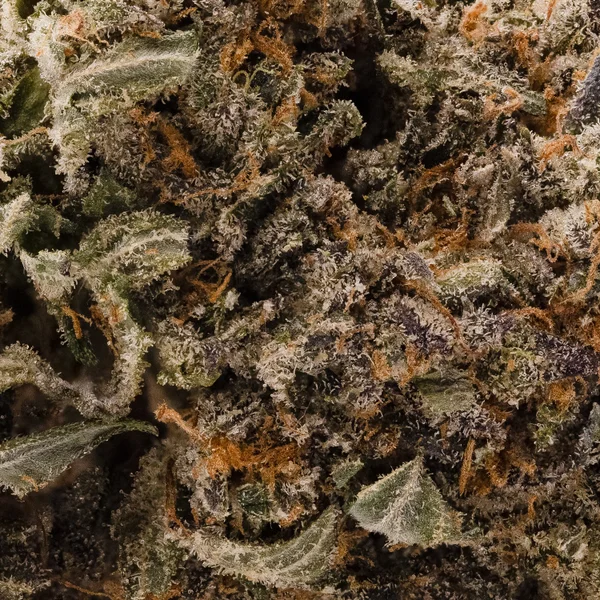 Lucky Farms - Death Bubba - Image 5
