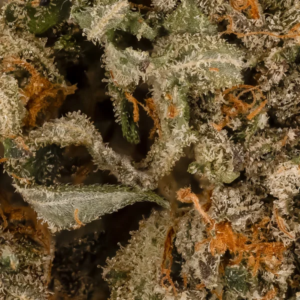Lucky Farms - Death Bubba - Image 6