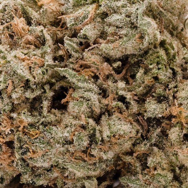 Superdank - Galactic Gas - Image 6