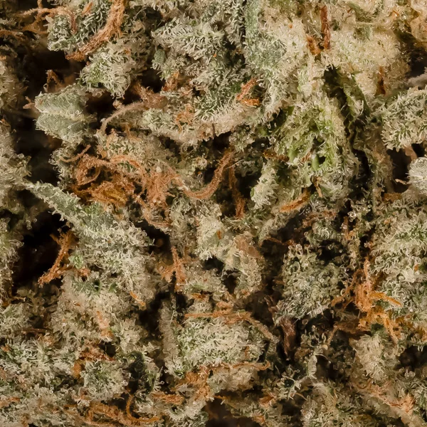 Superdank - Galactic Gas - Image 5