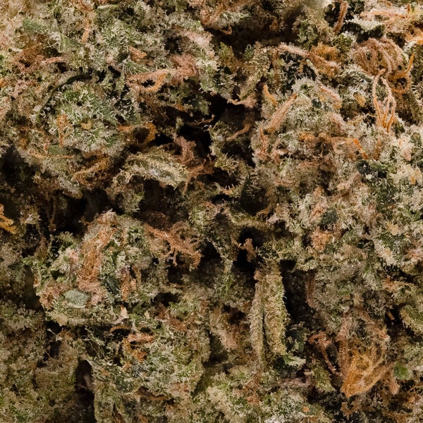 Superdank - Gas Mask - Image 5