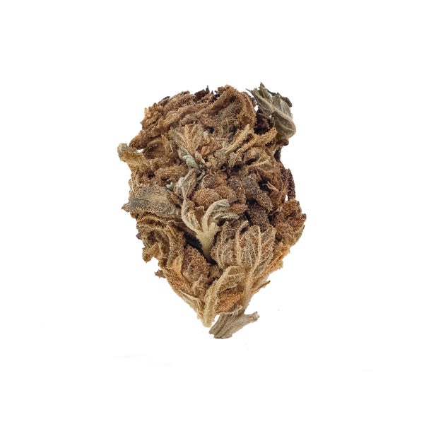 People's Choice - Gorilla Glue - Image 2