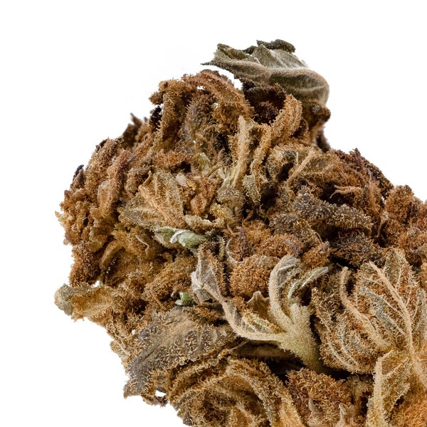 People's Choice - Gorilla Glue - Image 5