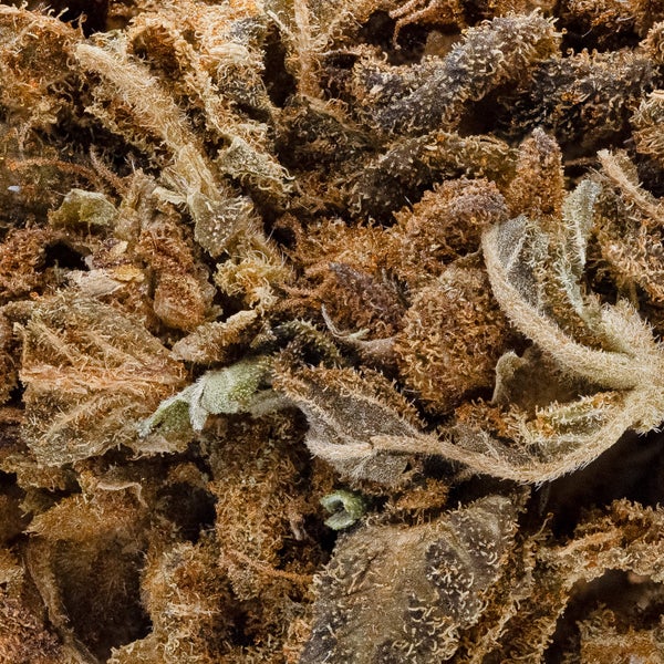 People's Choice - Gorilla Glue - Image 6