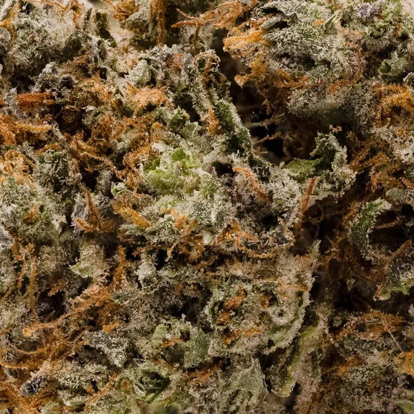 Lucky Farms - Hash Burger - Image 6