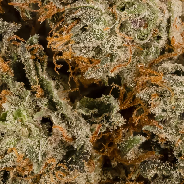 Lucky Farms - Hash Burger - Image 5