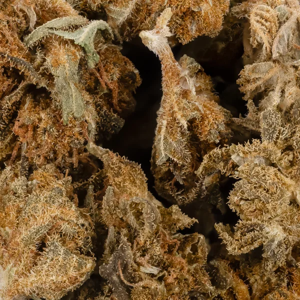 People's Choice - Hawaiian Snow (smalls) - Image 3