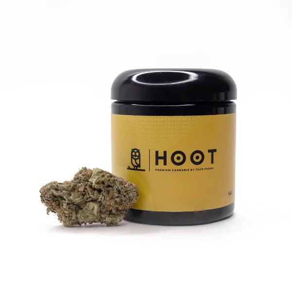 Hoot Cannabis - Ice Cream Zundae