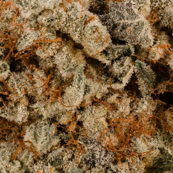 Lucky Farms - Kush Breath - Image 5