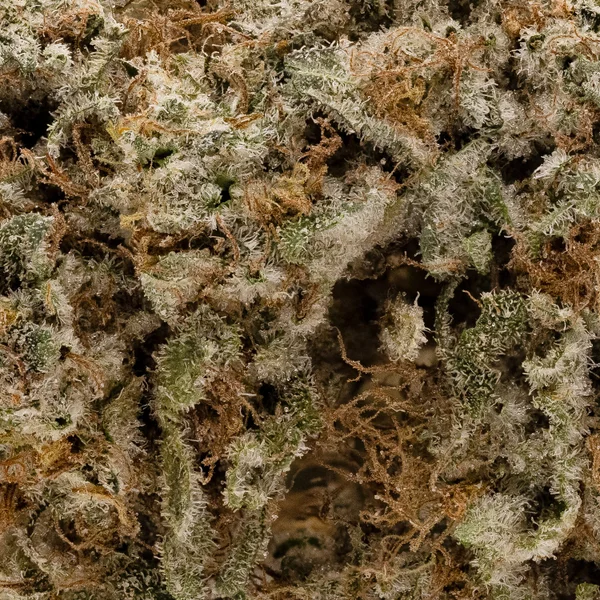 Lucky Farms - LA Confidential - Image 6