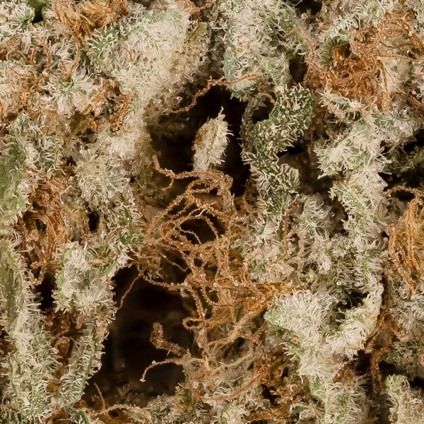 Lucky Farms - LA Confidential - Image 5