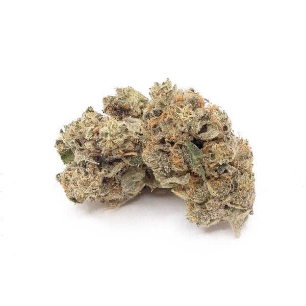 Lucky Farms - Northern Lights - Image 2