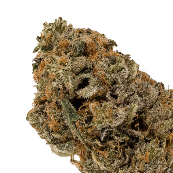 Lucky Farms - Northern Lights - Image 4