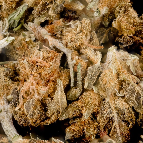 People's Choice - Nuken (smalls) - Image 3