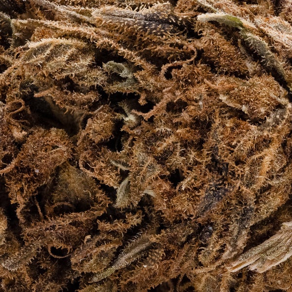 People's Choice - Purple Candy - Image 6