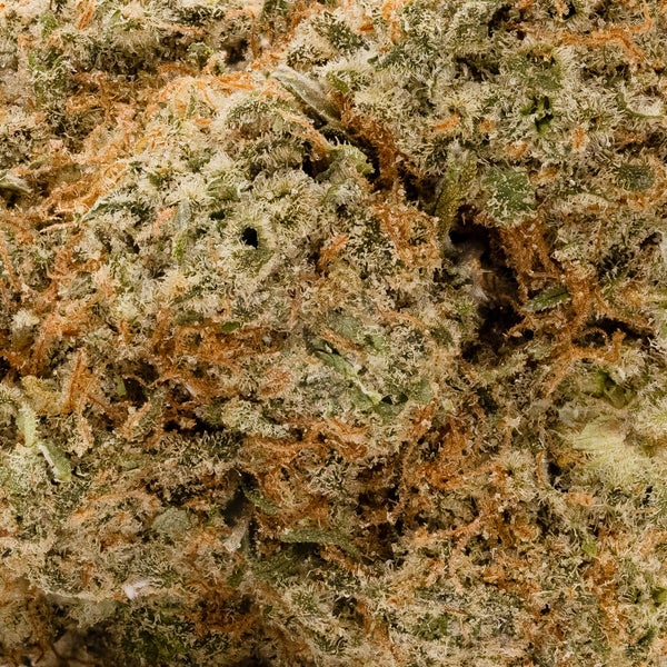 Lucky Farms - San Francisco OG - Image 5