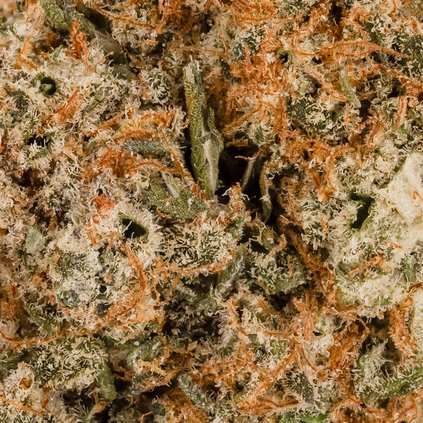 Lucky Farms - San Francisco OG - Image 6