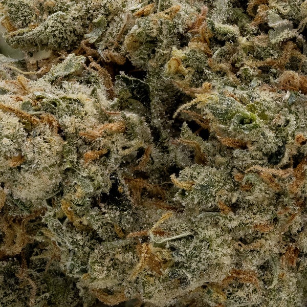 Super Lemon Haze (Hoot Cannabis) - Image 6