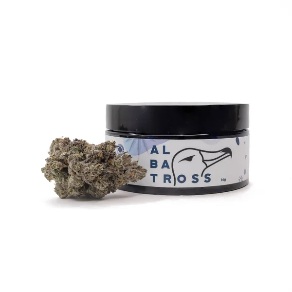 Albatross - Super Secret - Image 7