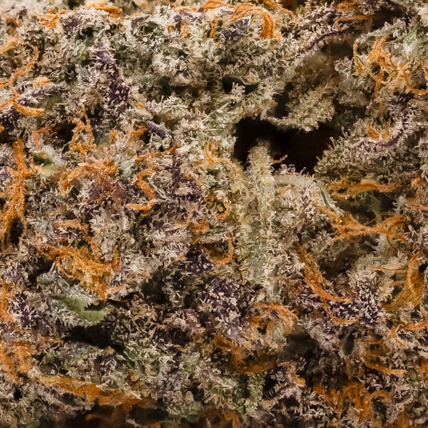 Hoot Cannabis - Sweet Gas Gelato - Image 6