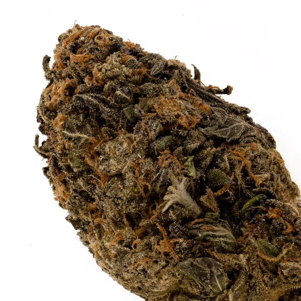 People's Choice - Tahoe OG - Image 4